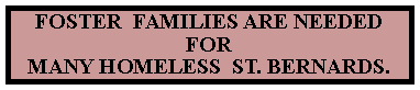 Text Box: FOSTER  FAMILIES ARE NEEDED FOR MANY HOMELESS  ST. BERNARDS. 